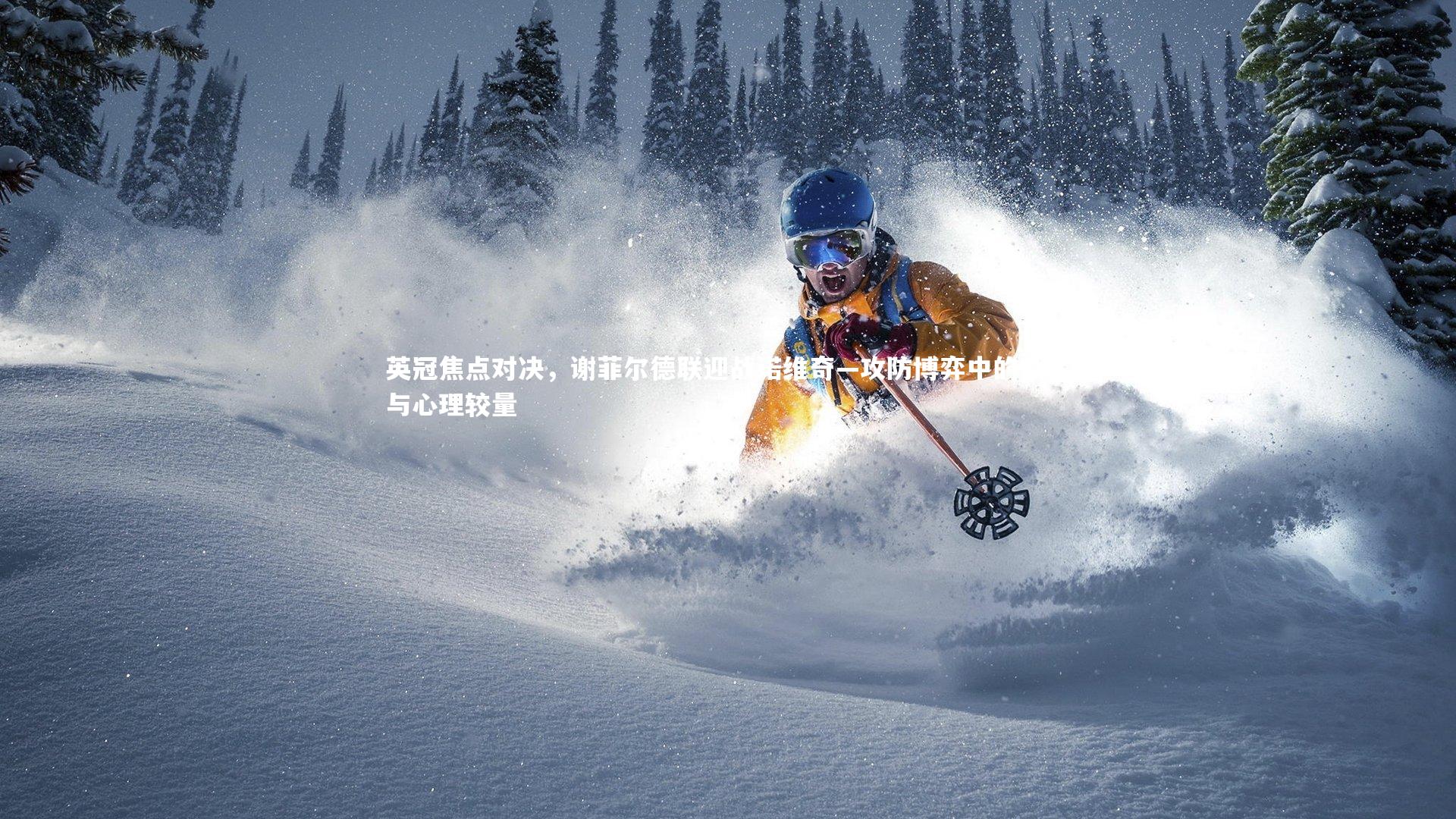 英冠焦点对决，谢菲尔德联迎战诺维奇—攻防博弈中的战术与心理较量